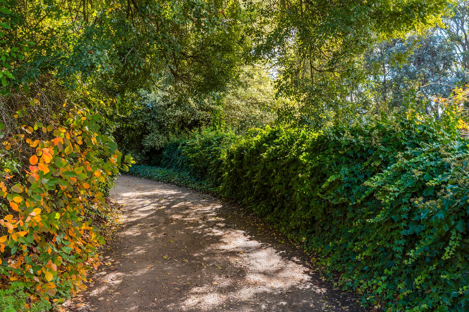 Real Estate and Property in 131 Shannons Lane, Kerrie, VIC