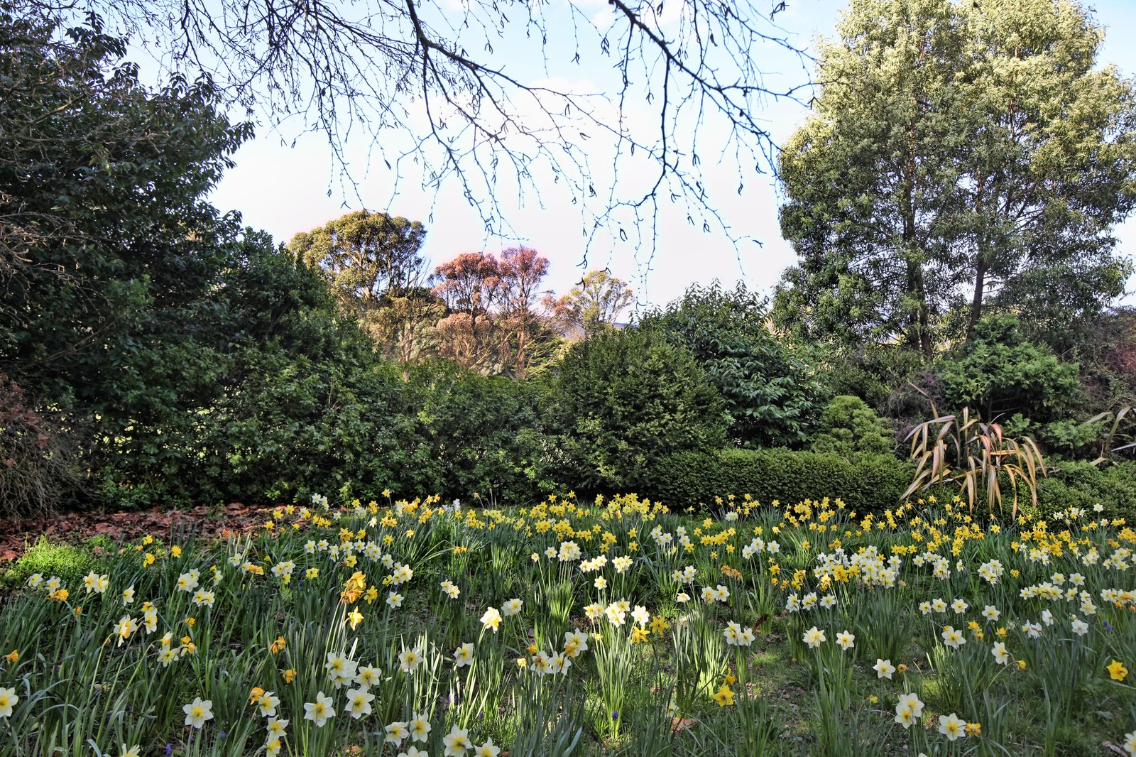 Real Estate and Property in 131 Shannons Lane, Kerrie, VIC