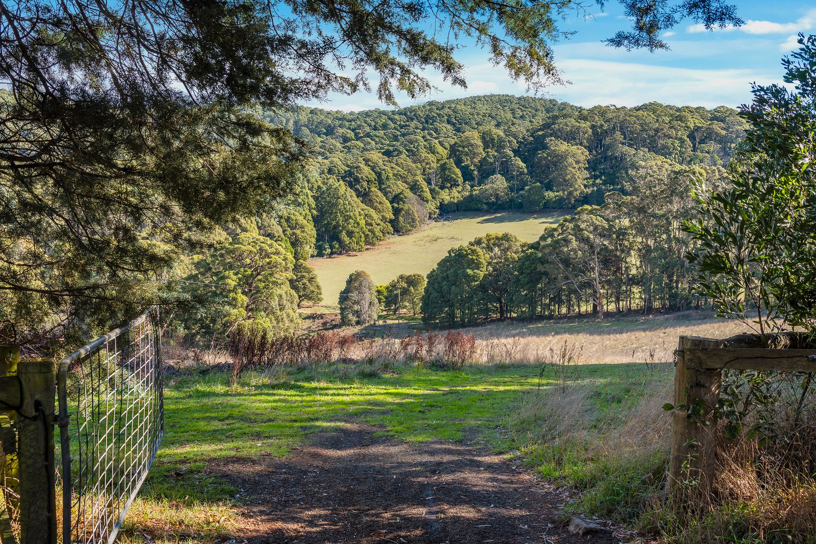 Real Estate and Property in 131 Shannons Lane, Kerrie, VIC