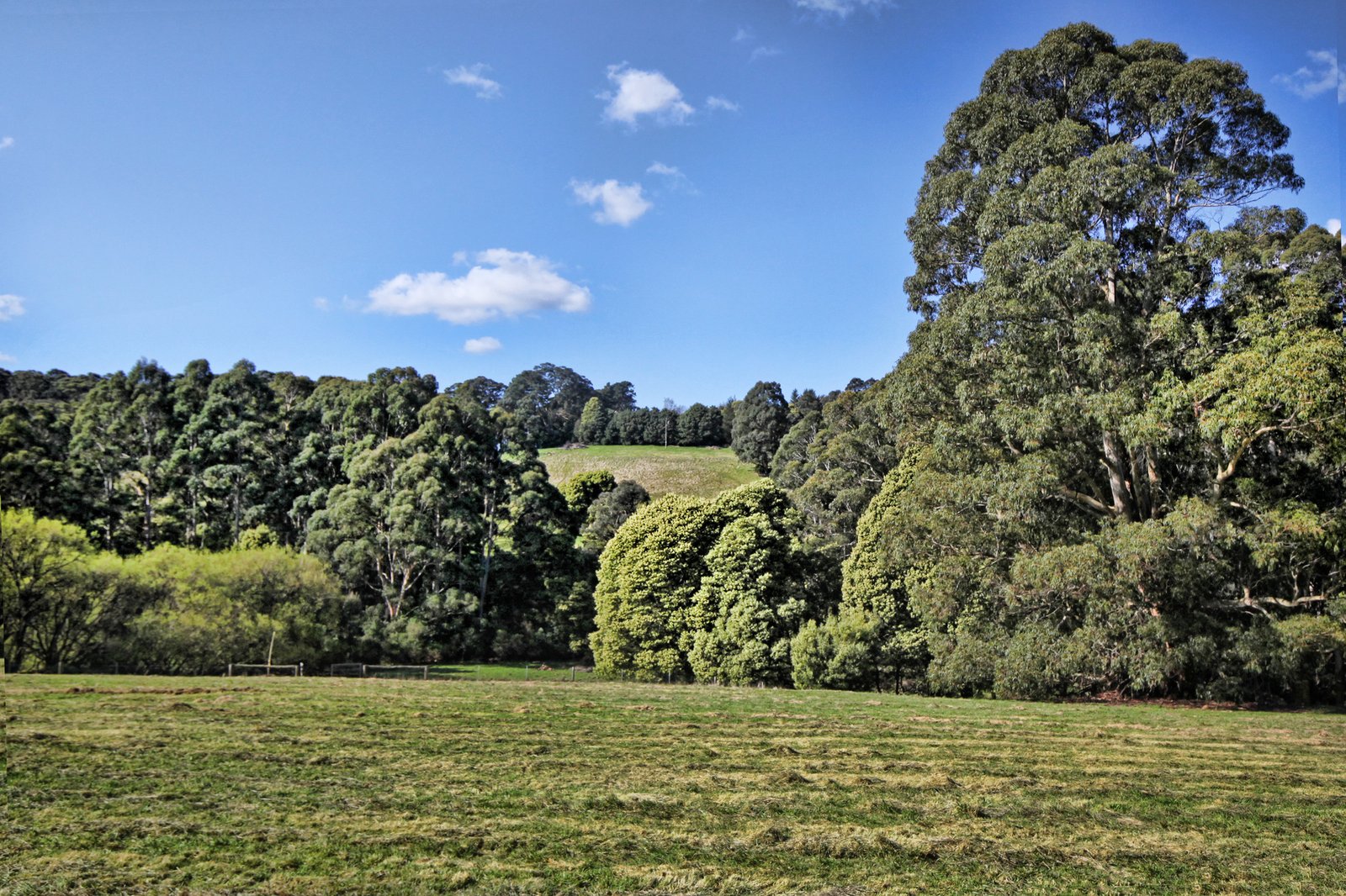 Real Estate and Property in 131 Shannons Lane, Kerrie, VIC