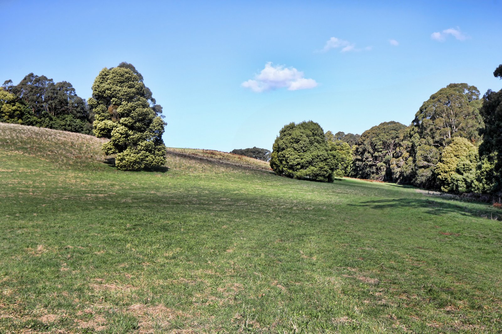 Real Estate and Property in 131 Shannons Lane, Kerrie, VIC