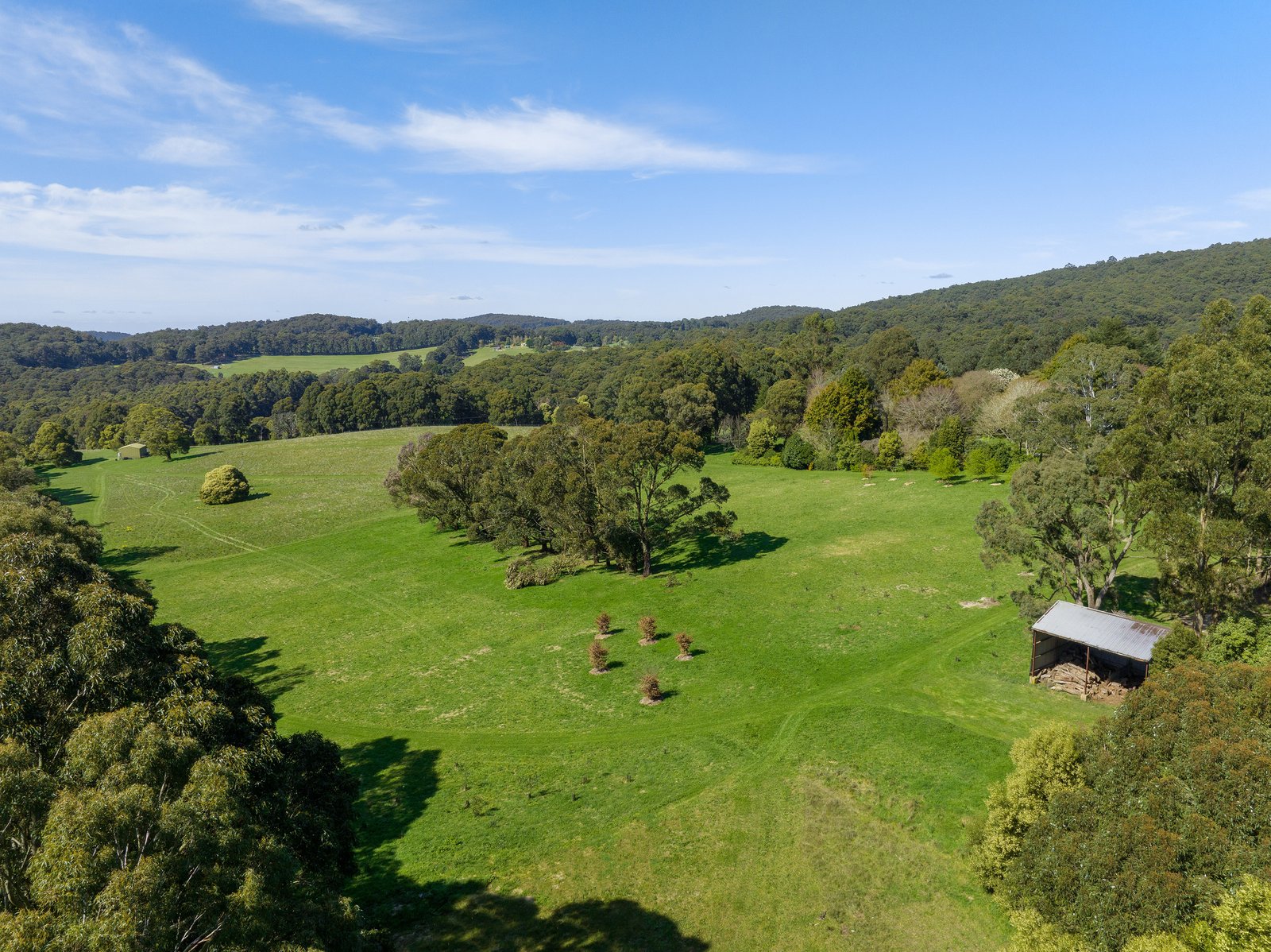 Real Estate and Property in 131 Shannons Lane, Kerrie, VIC