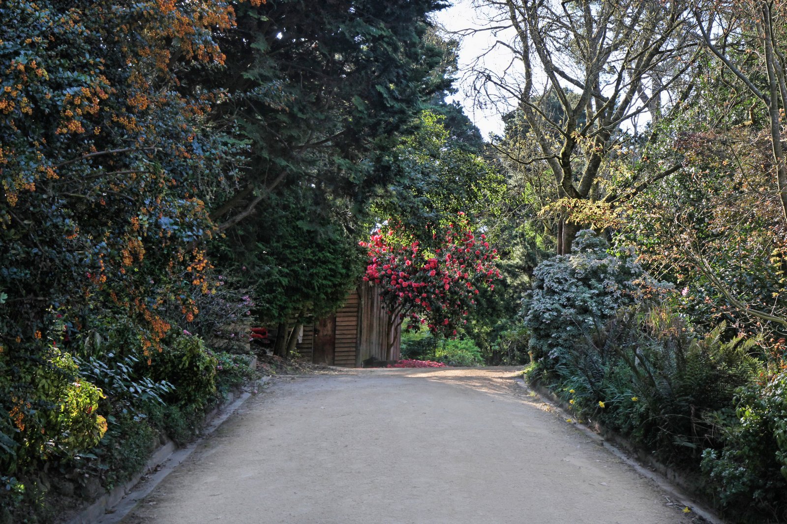 Real Estate and Property in 131 Shannons Lane, Kerrie, VIC