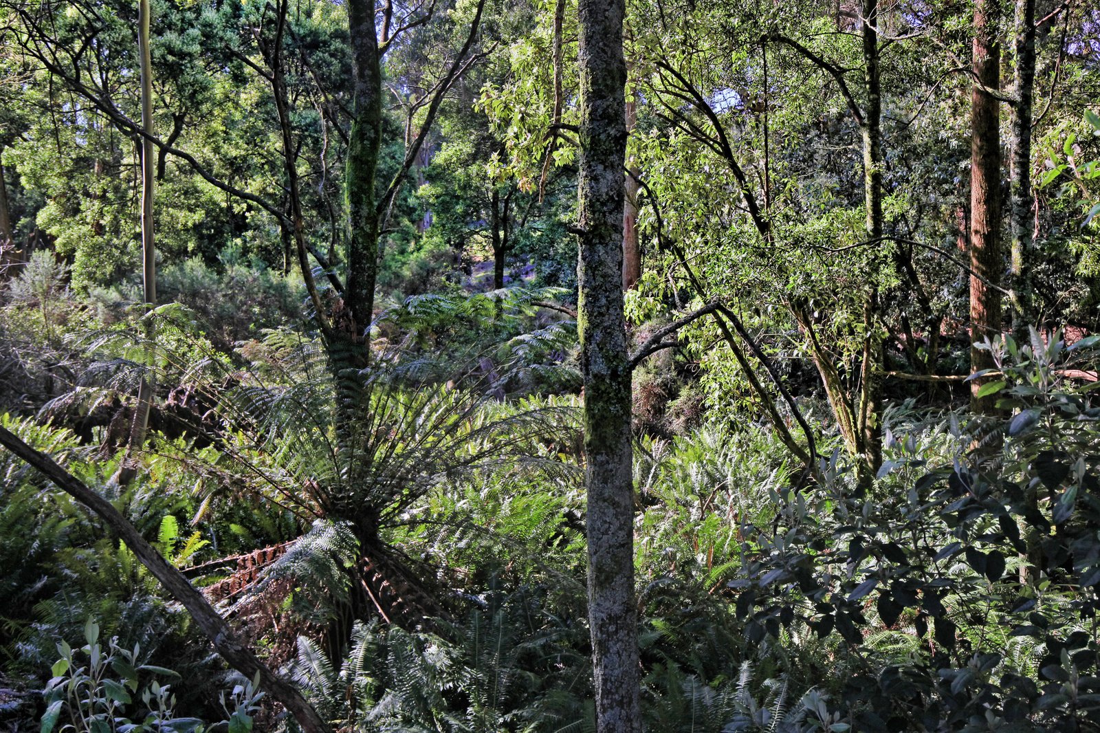 Real Estate and Property in 131 Shannons Lane, Kerrie, VIC