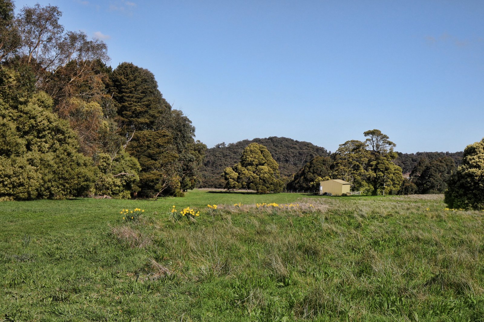 Real Estate and Property in 131 Shannons Lane, Kerrie, VIC