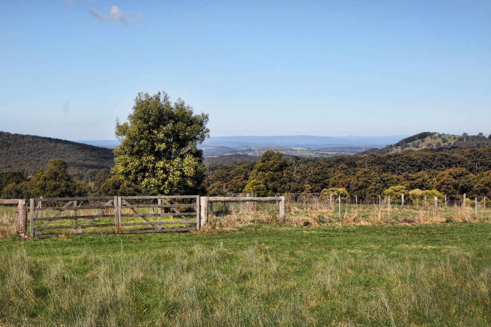 Real Estate and Property in 131 Shannons Lane, Kerrie, VIC