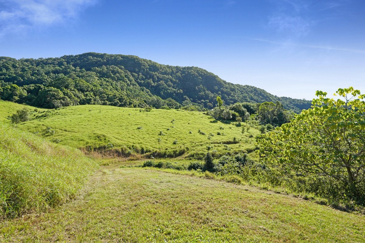 1310 Currumbin Creek Road Currumbin Valley 28