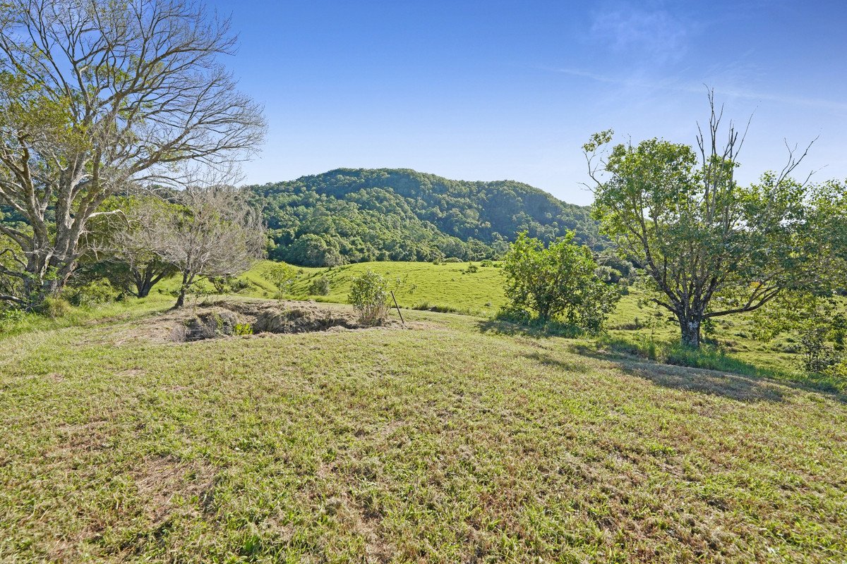 1310 Currumbin Creek Road Currumbin Valley 31