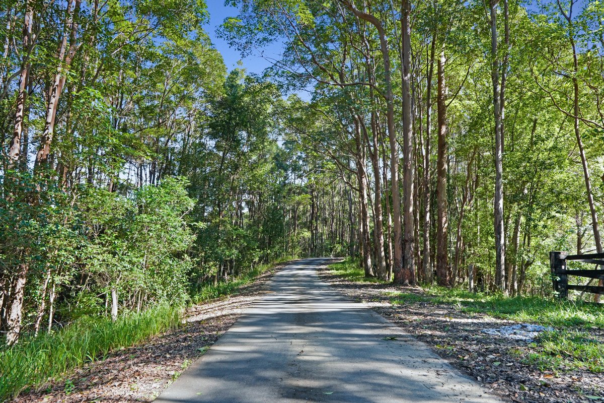 1310 Currumbin Creek Road Currumbin Valley 32
