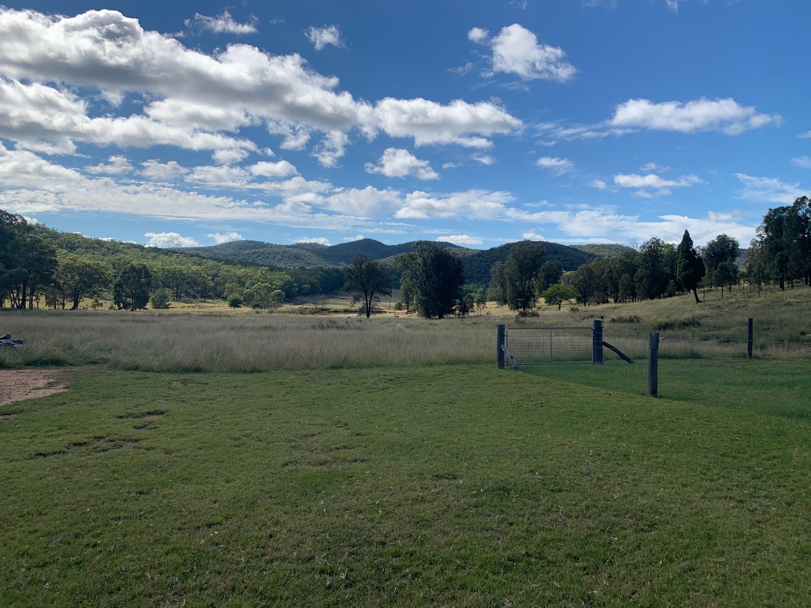 1311 Giants Creek Road GIANTS CREEK 9