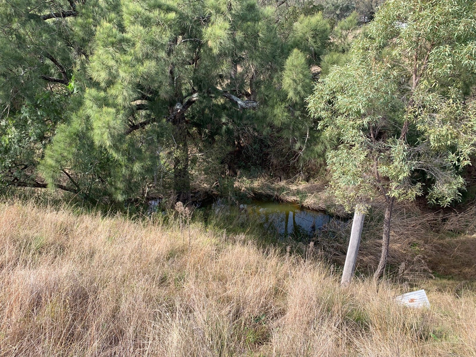 1311 Giants Creek Road GIANTS CREEK 16