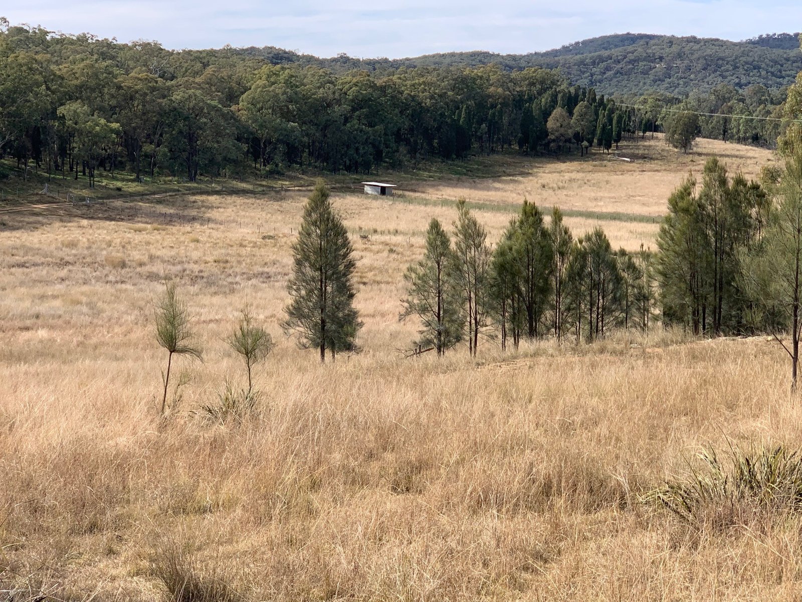 1311 Giants Creek Road GIANTS CREEK 17