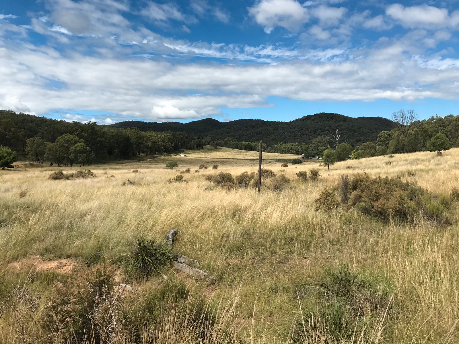 1311 Giants Creek Road GIANTS CREEK 18