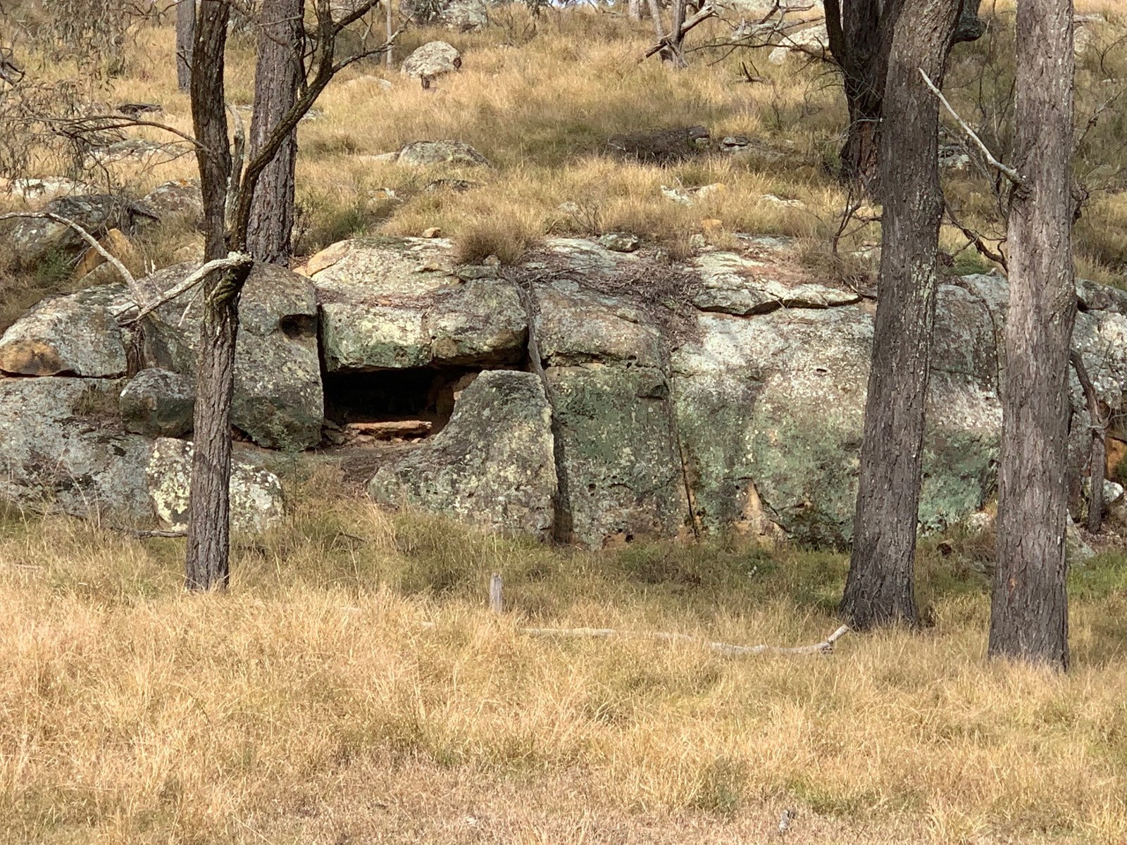 1311 Giants Creek Road GIANTS CREEK 20