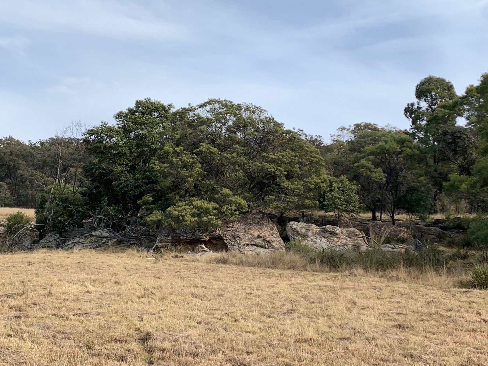 1311 Giants Creek Road GIANTS CREEK 21