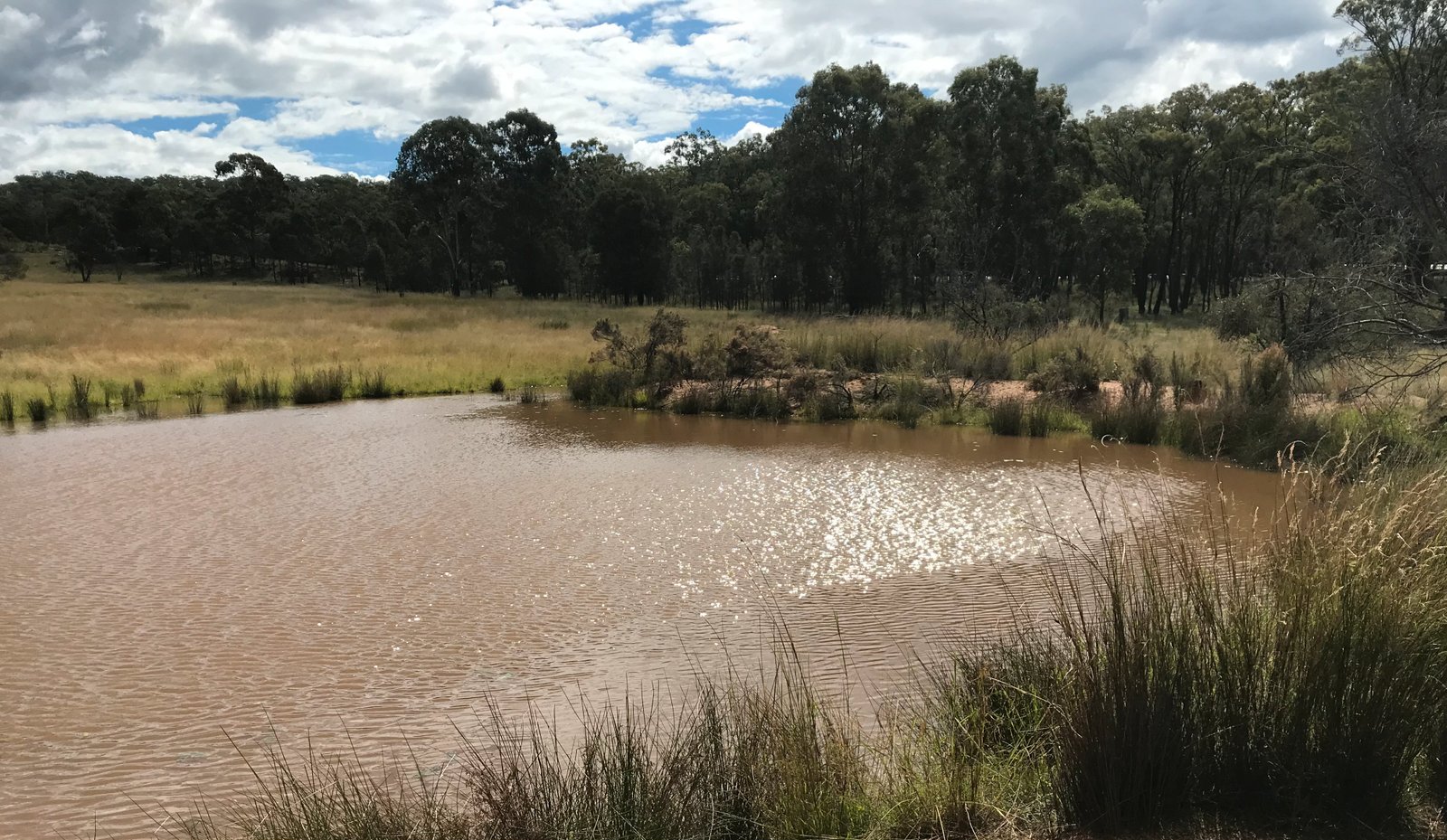 1311 Giants Creek Road GIANTS CREEK 22