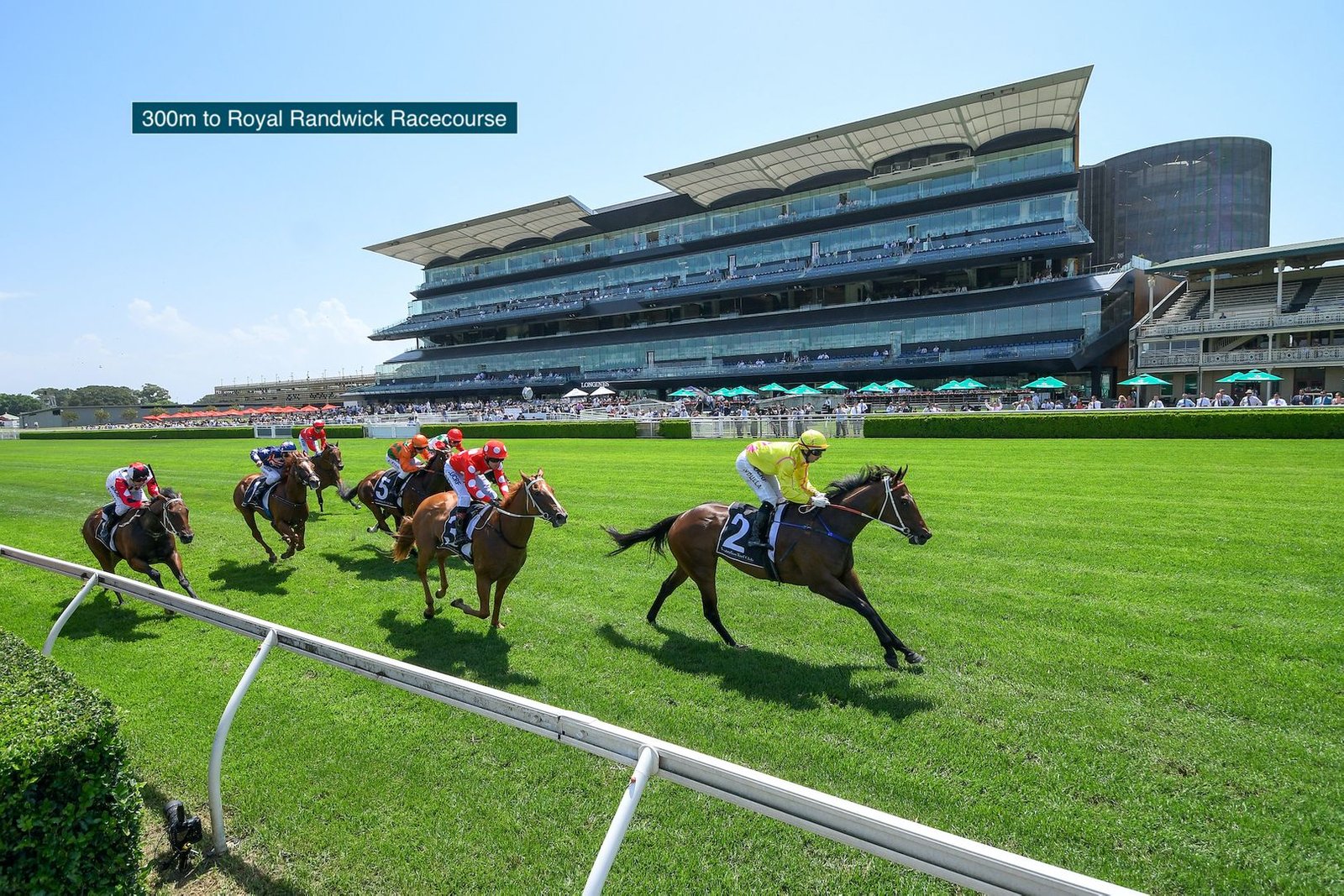 13/120 Alison Road RANDWICK 14