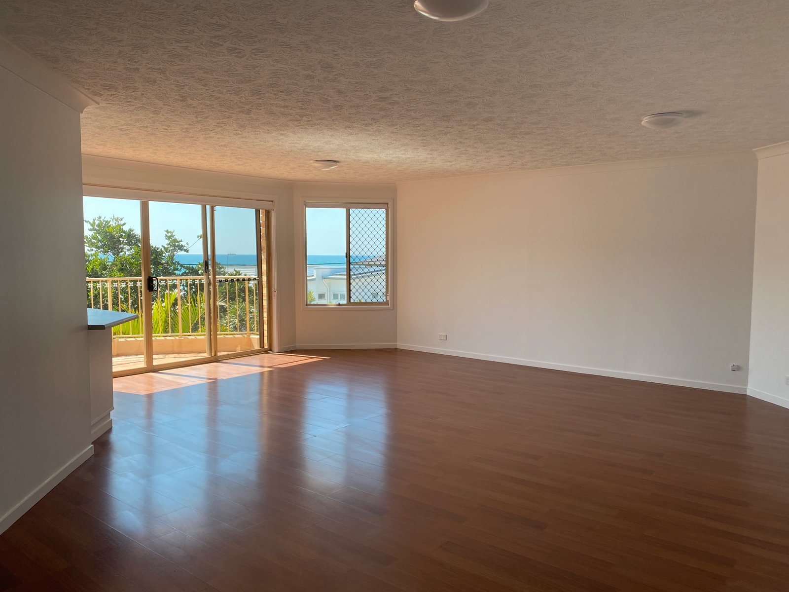 13/1251 Gold Coast Highway PALM BEACH 5
