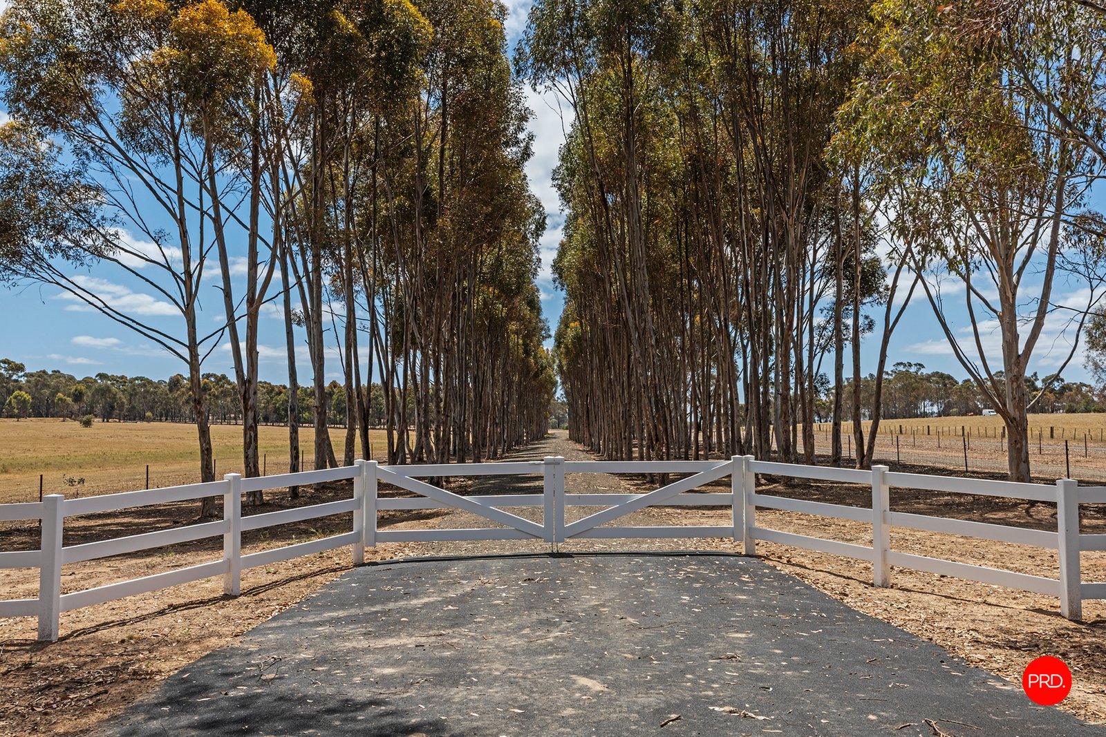 1313 McIvor Highway LONGLEA 1