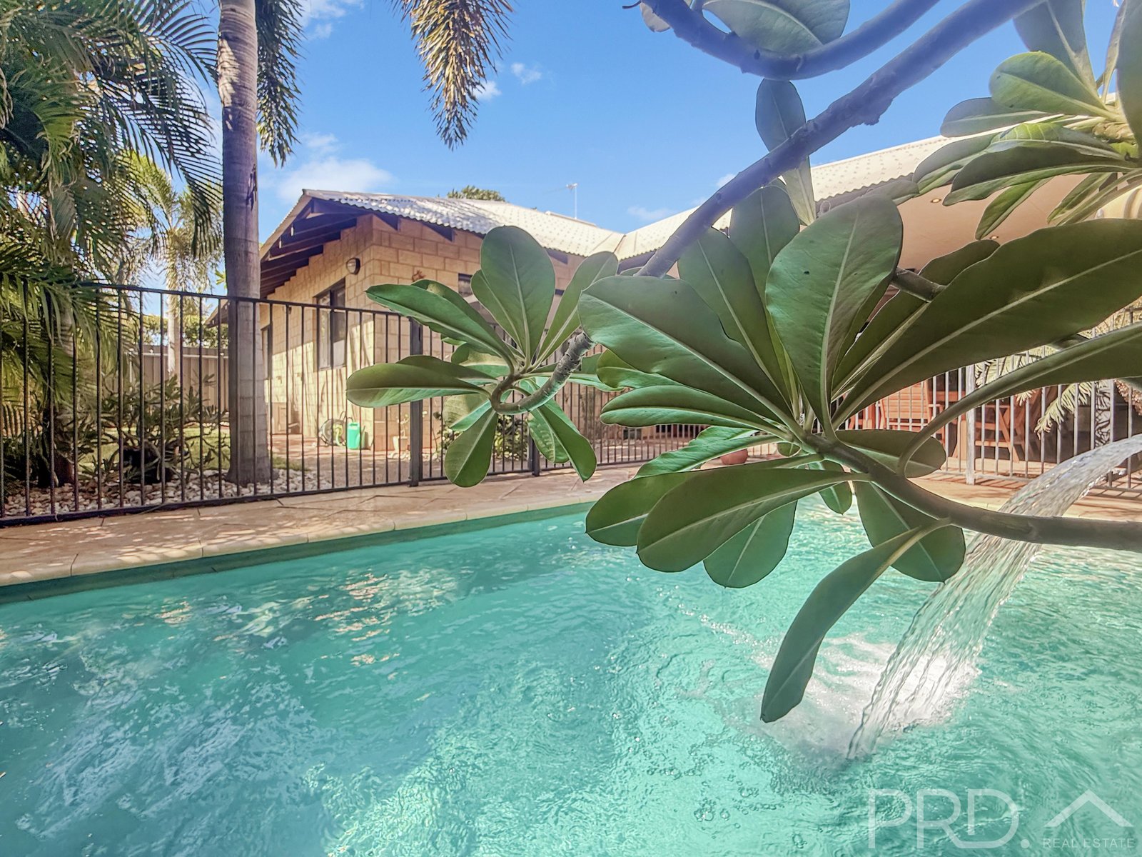 132 Bajamalu Drive BAYNTON 12