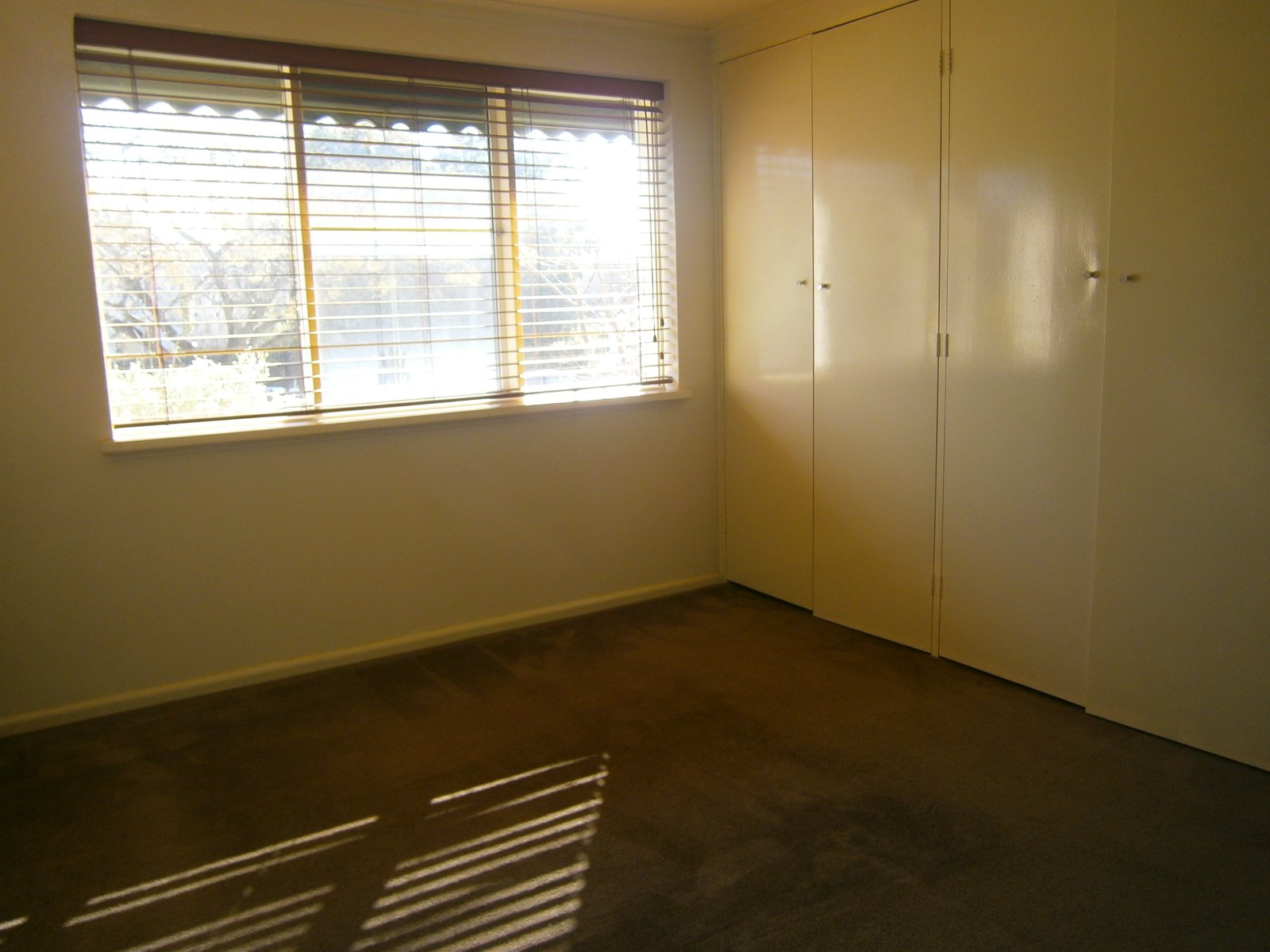 Gallery: 1/32 Belmont Avenue