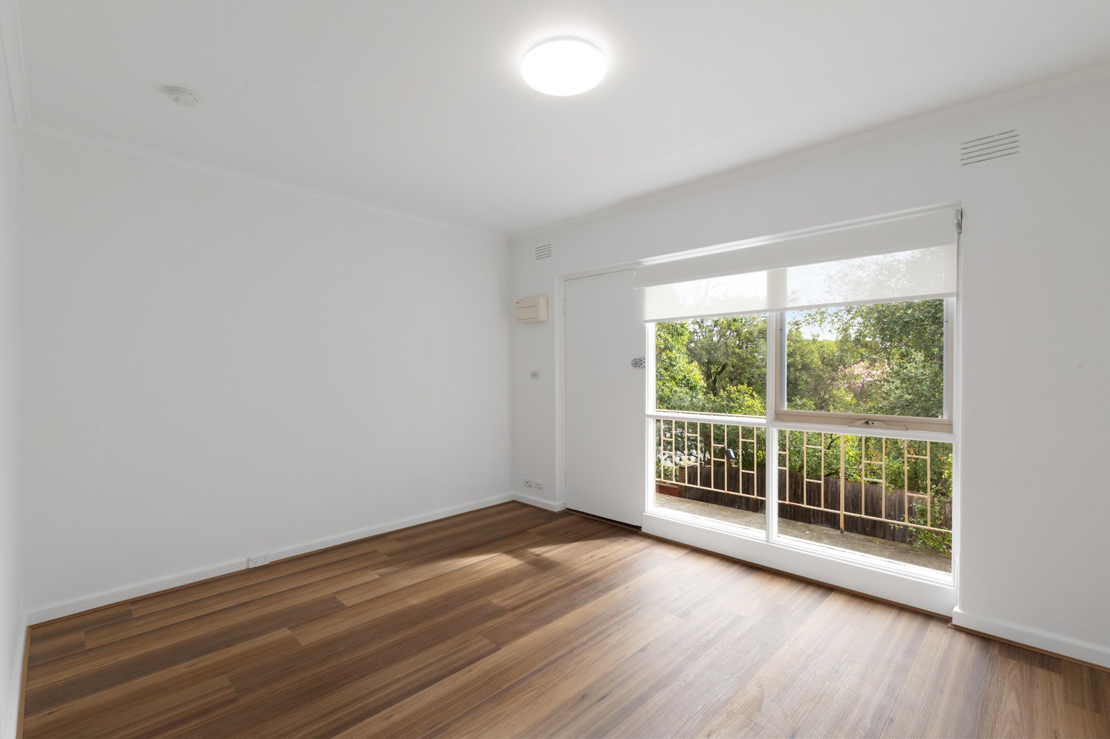 Gallery: 13/20 Payne Street