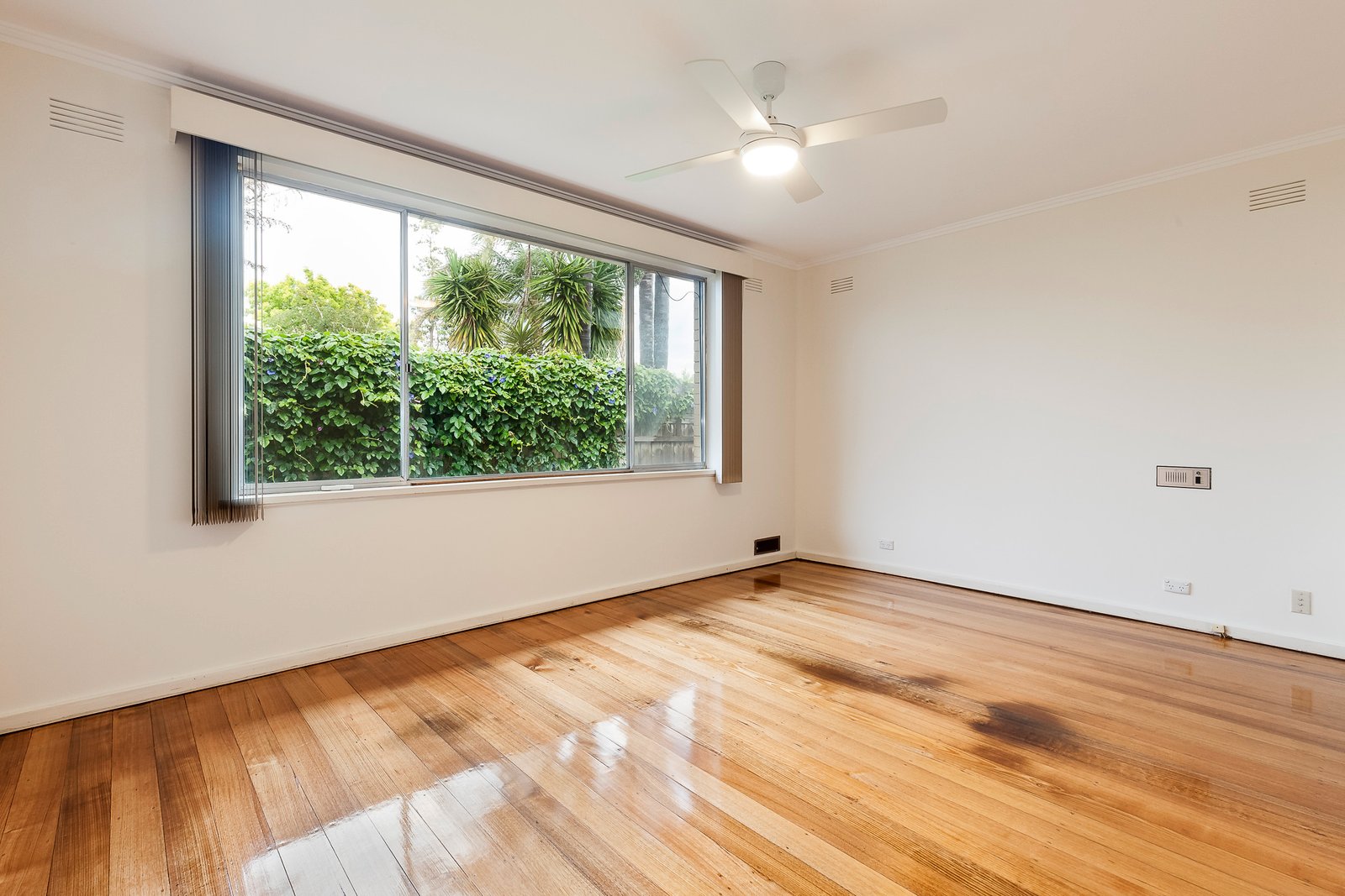 Gallery: 1/33 Laburnum Street