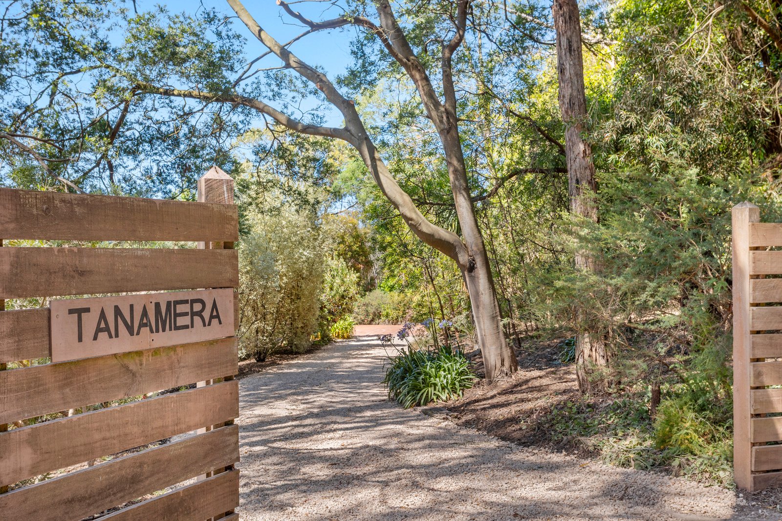 Gallery: 133 Red Hill Road