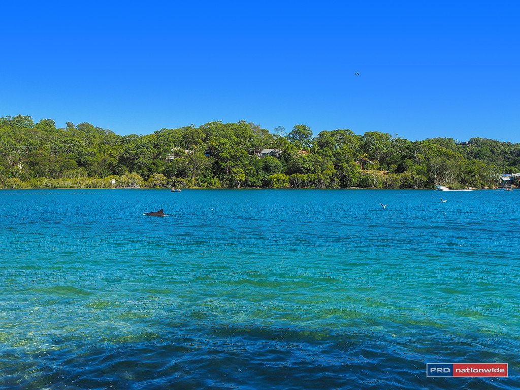 1/33 TALLEBUDGERA Drive PALM BEACH 17