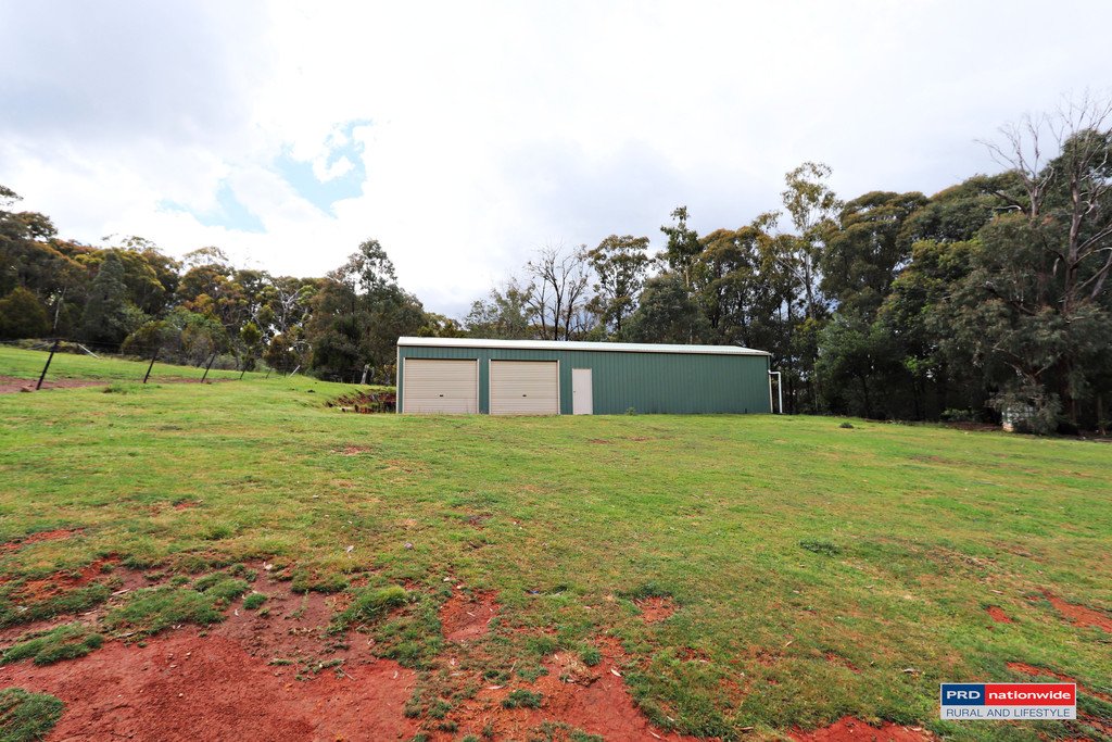 1336 Batlow Road TUMBARUMBA 13