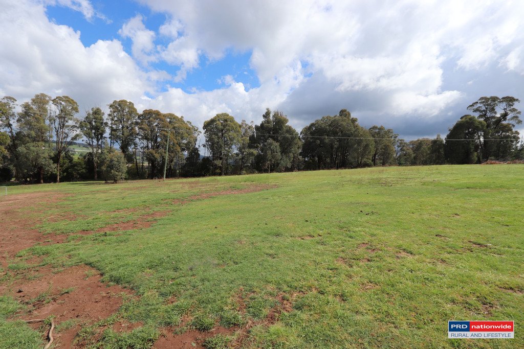 1336 Batlow Road TUMBARUMBA 14