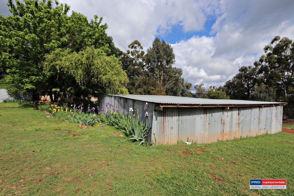 1336 Batlow Road TUMBARUMBA 16