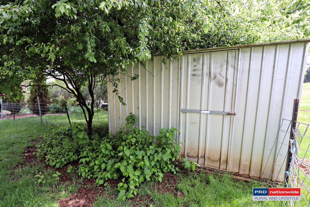 1336 Batlow Road TUMBARUMBA 17