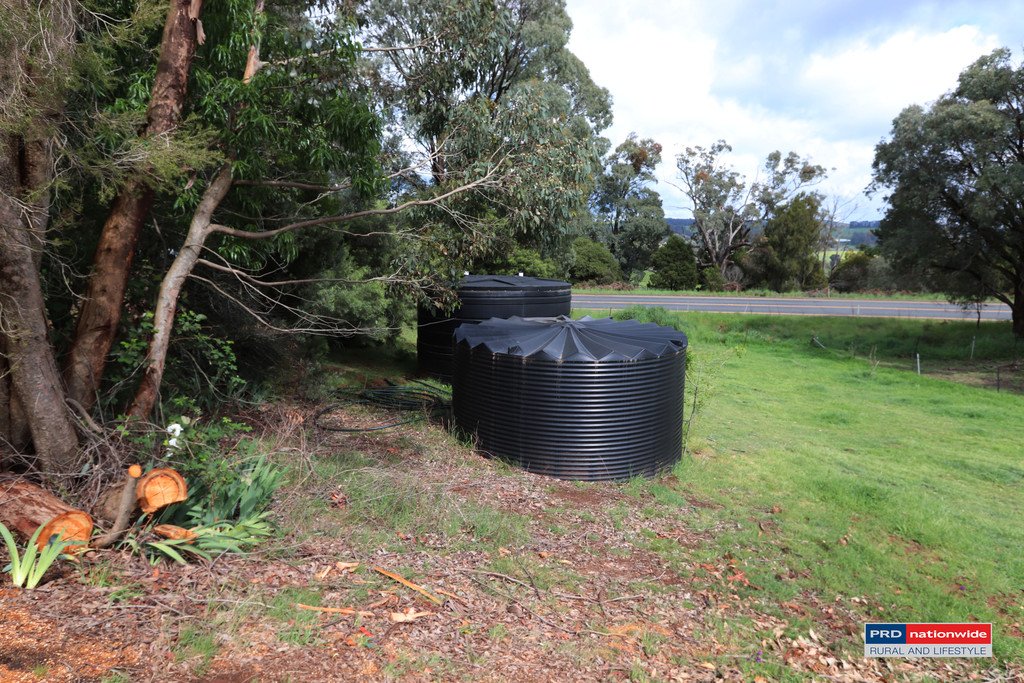 1336 Batlow Road TUMBARUMBA 18