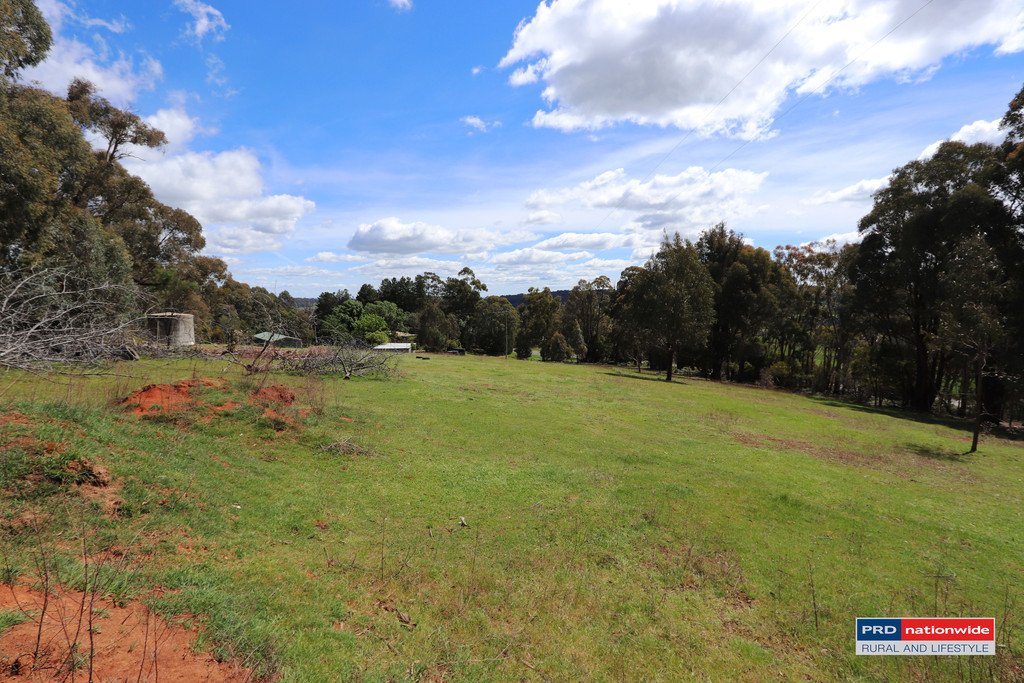1336 Batlow Road TUMBARUMBA 19
