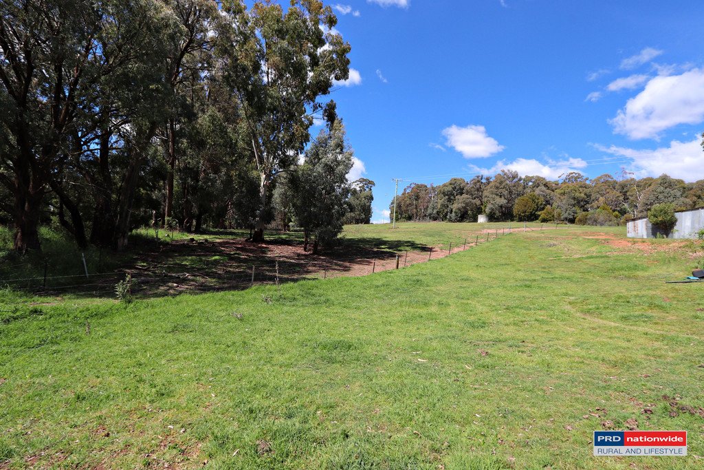 1336 Batlow Road TUMBARUMBA 20