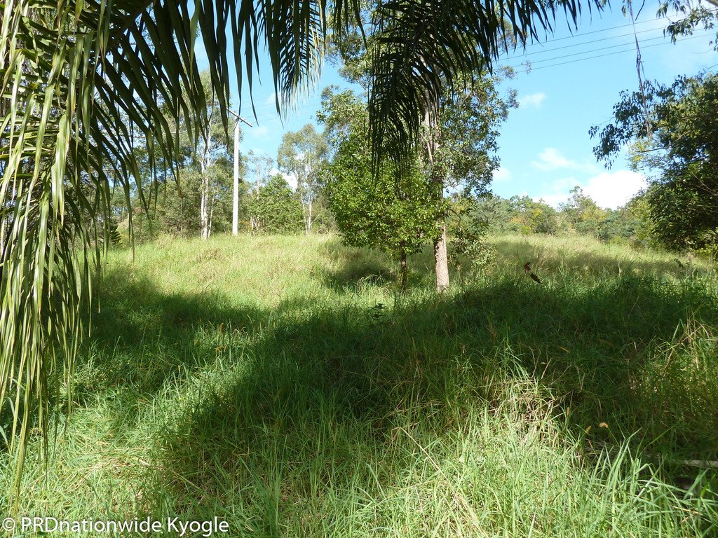 1337 Wiangaree Back Road KYOGLE 7
