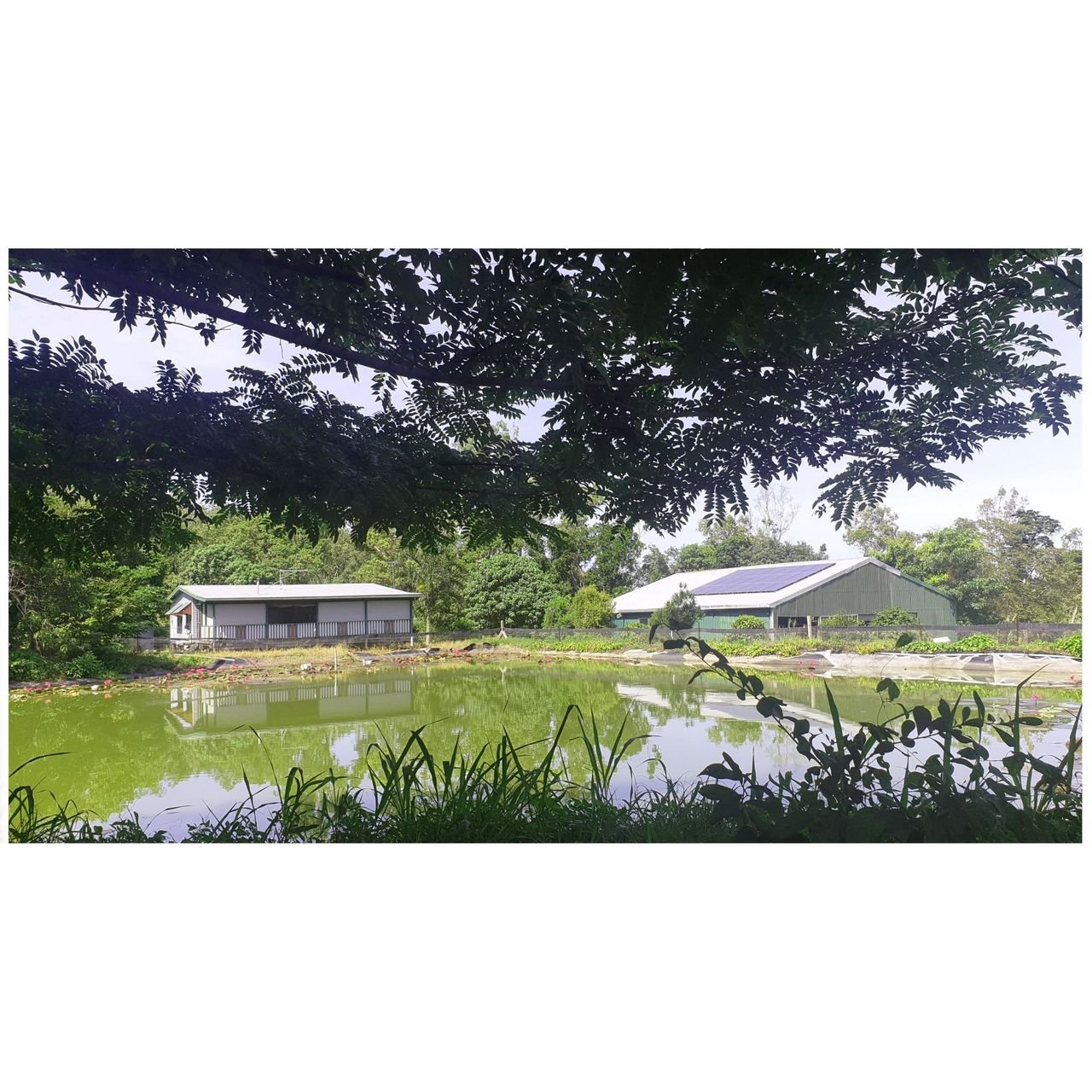 134 Ashton Road GREGORY RIVER 5