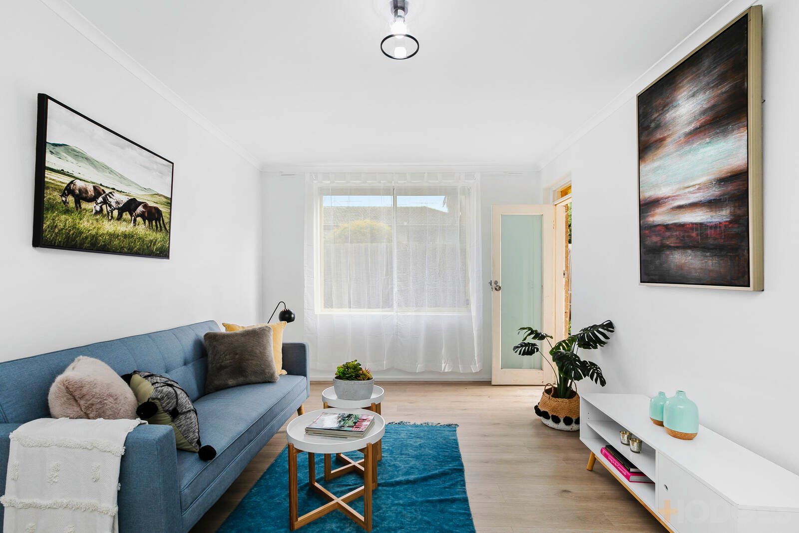 Gallery: 1/34 Bishop Street