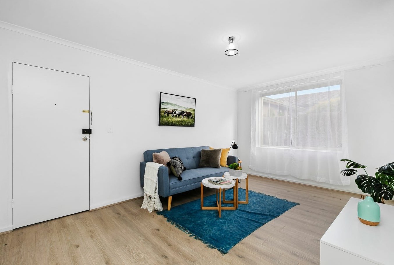 Gallery: 1/34 Bishop Street