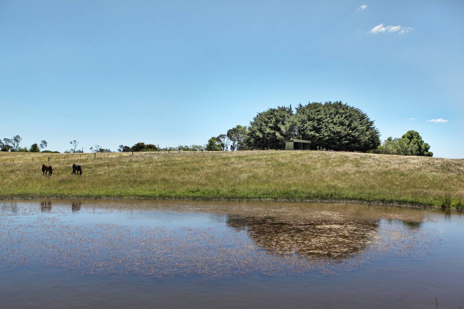 Real Estate and Property in 134 Crows Road, Woodend, VIC