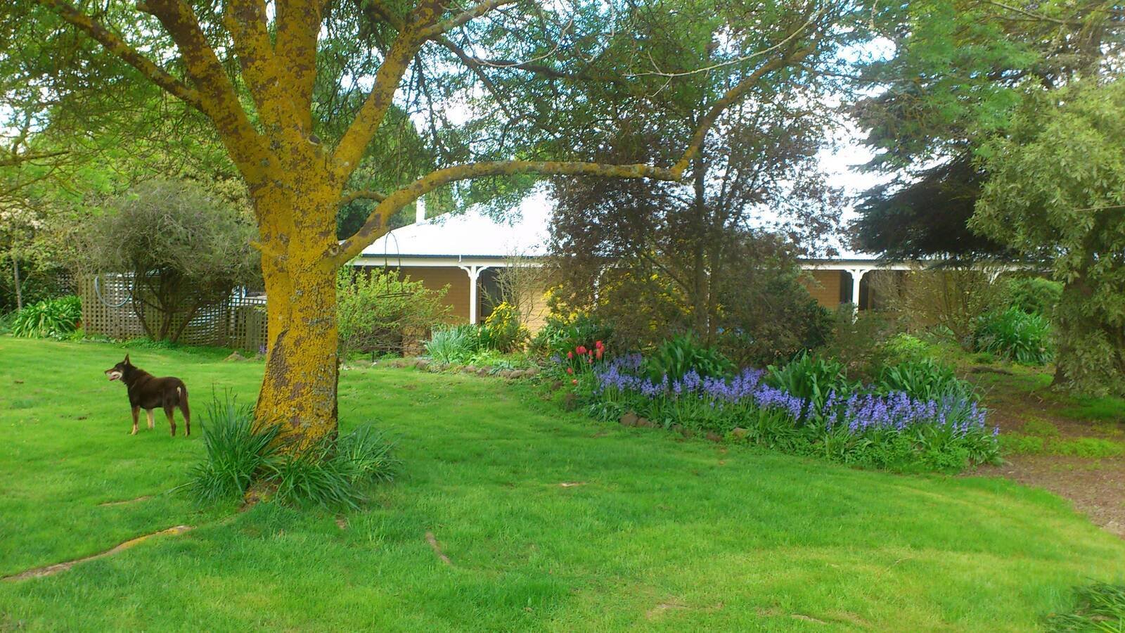 Real Estate and Property in 134 Crows Road, Woodend, VIC