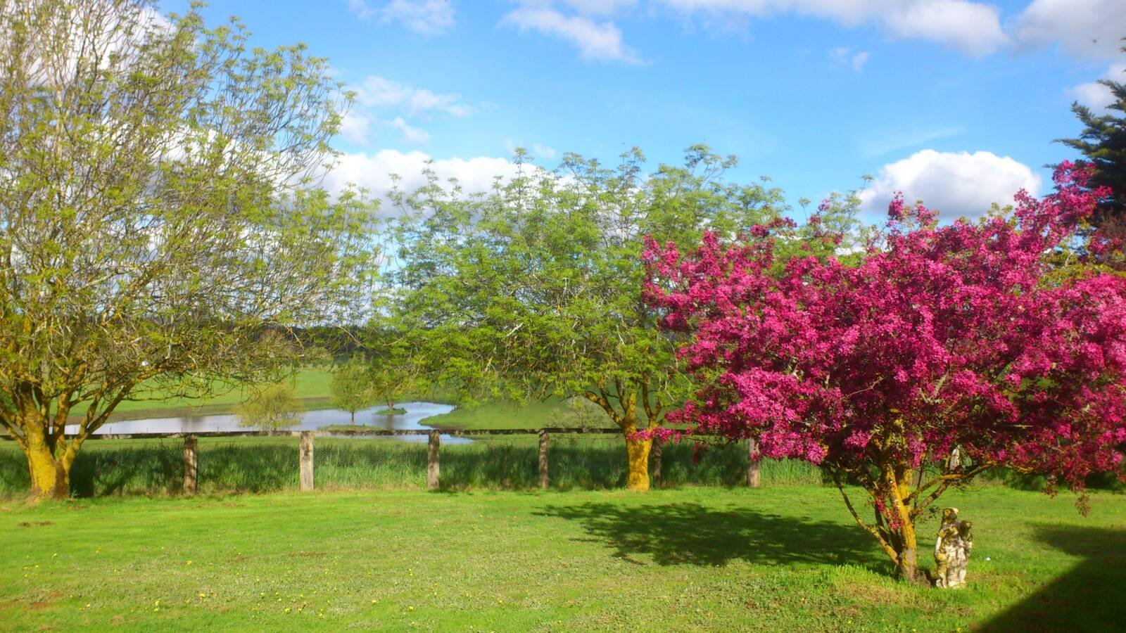 Real Estate and Property in 134 Crows Road, Woodend, VIC