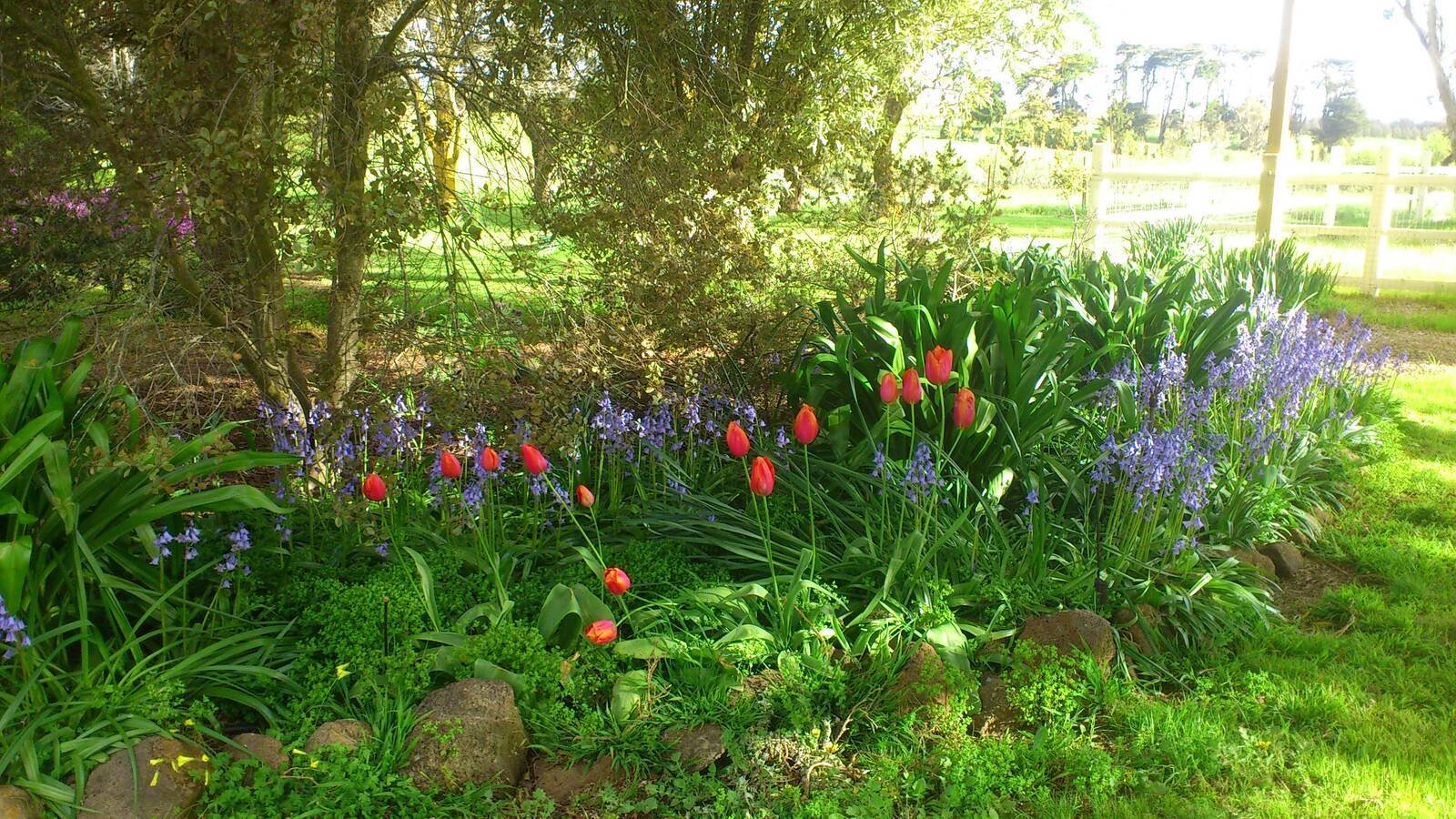 Real Estate and Property in 134 Crows Road, Woodend, VIC