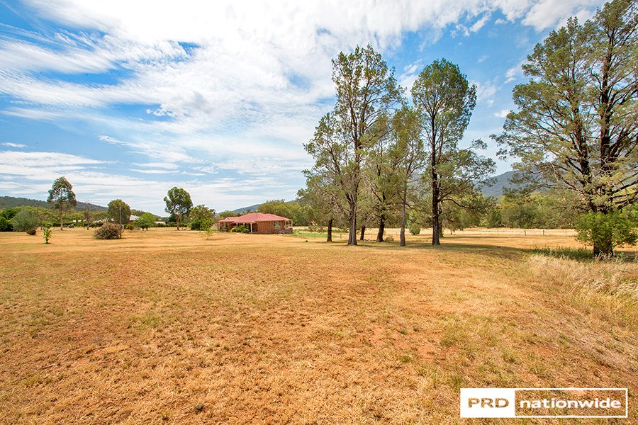 134 Elizabeth Drive TAMWORTH 15