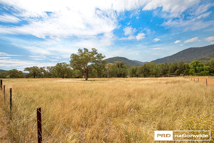 134 Elizabeth Drive TAMWORTH 16