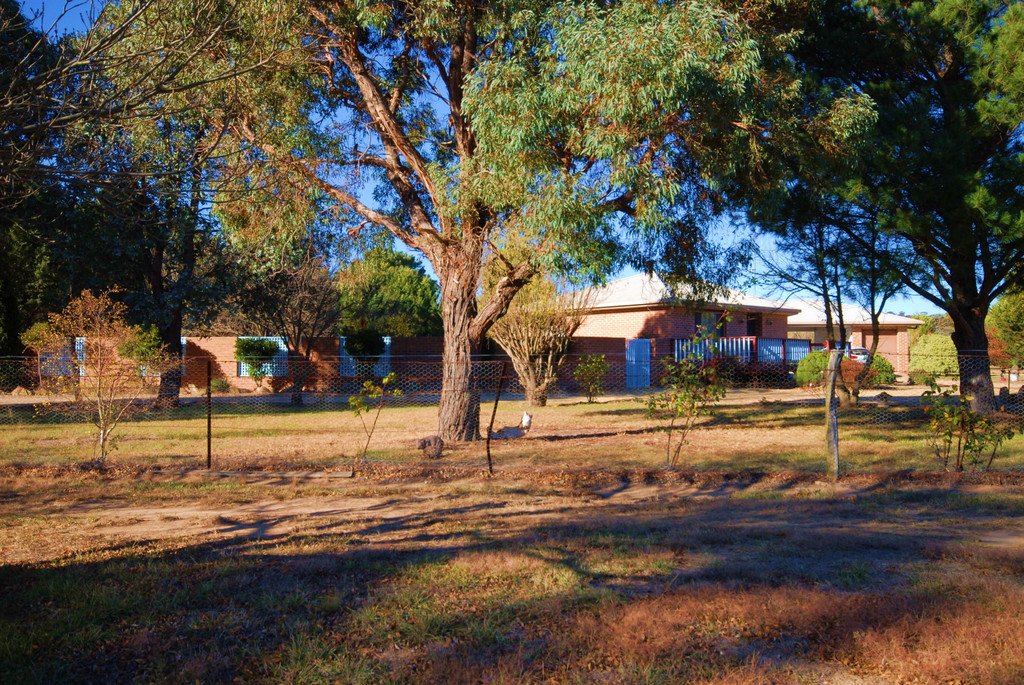 134 Ellendon Street BUNGENDORE 4