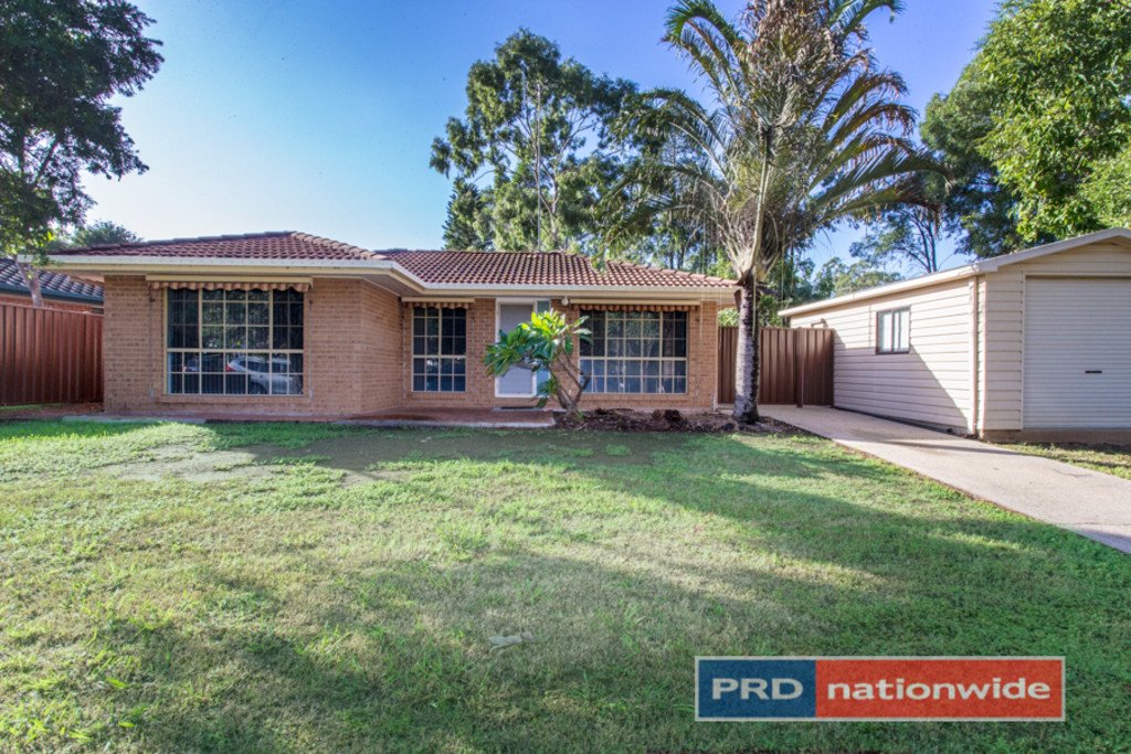 134 Hindmarsh Street CRANEBROOK 1