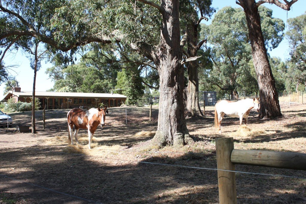 134 McIntoshs Lane MOUNT EGERTON 5