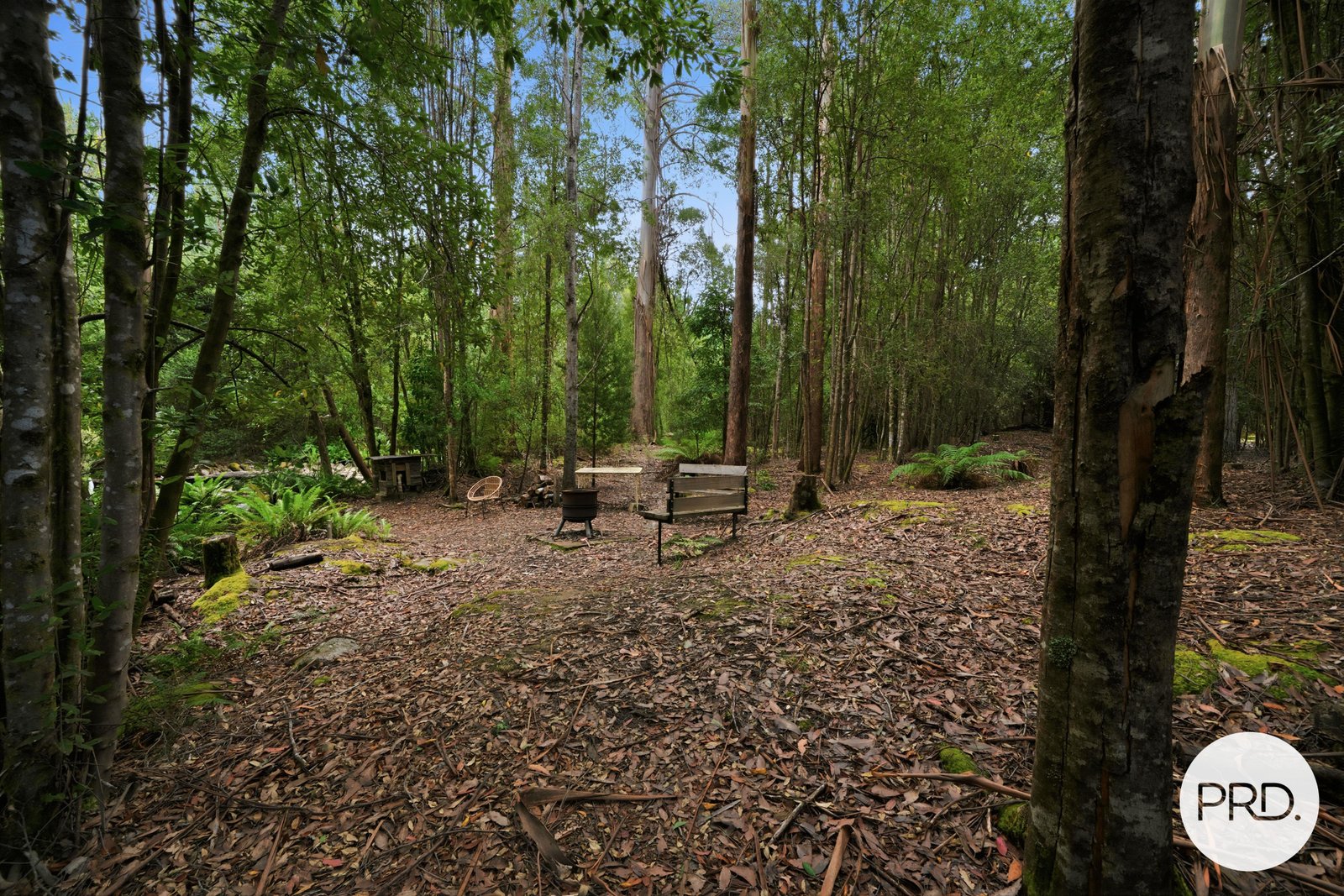 134 Tyenna Road TYENNA 19